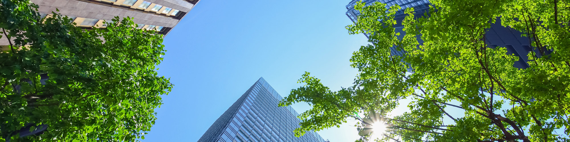 イメージ イメージ